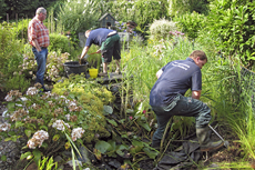 Gartenpflege: Gartenteichrenaturierung
