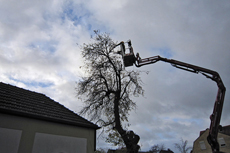 Baumfällungen: Bäume im Gefahrenbereich rund ums Haus tragen wir Ast für Ast ab.